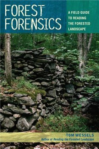 Forest forensics field - forest,
